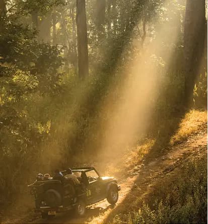 Luxury Safari in India