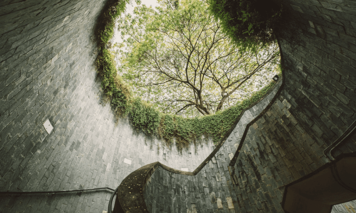 Wellness & Longevity Summit