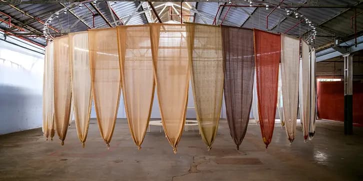 Registry of Sarees weaves