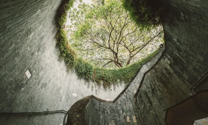 Wellness & Longevity Summit